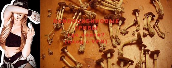 наркотики Нефтекумск